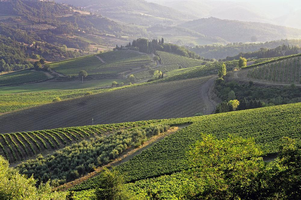 Alojamento de Acomodação e Pequeno-almoço Fattoria Poggerino