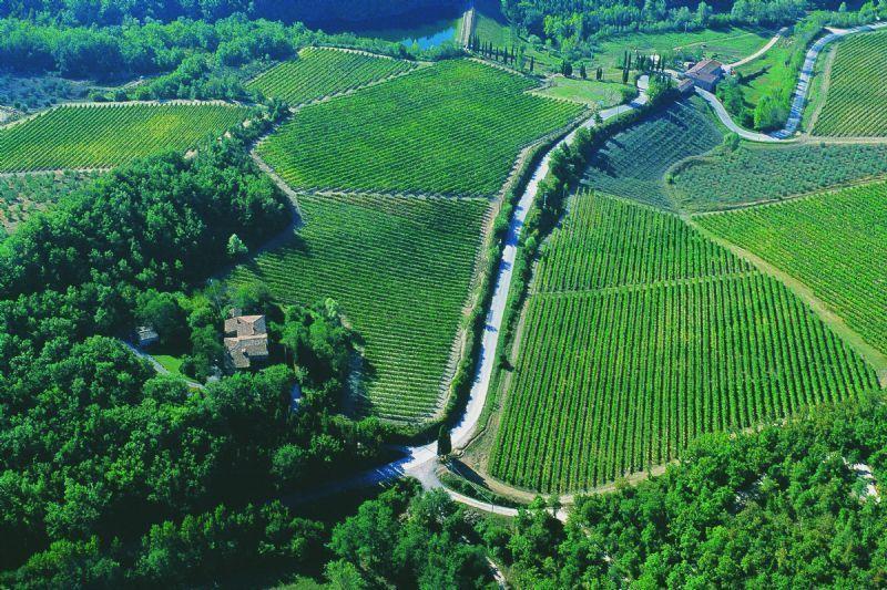 Fattoria Poggerino Alojamento de Acomodação e Pequeno-almoço Radda in Chianti