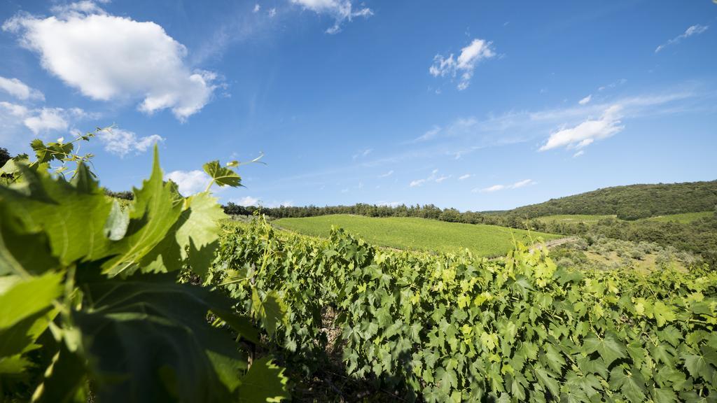 Fattoria Poggerino Alojamento de Acomodação e Pequeno-almoço *